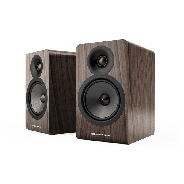 Acoustic Energy AE100.2
